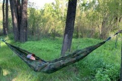 Hammock