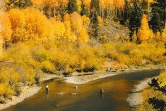 Fishing-at-the-Haven
